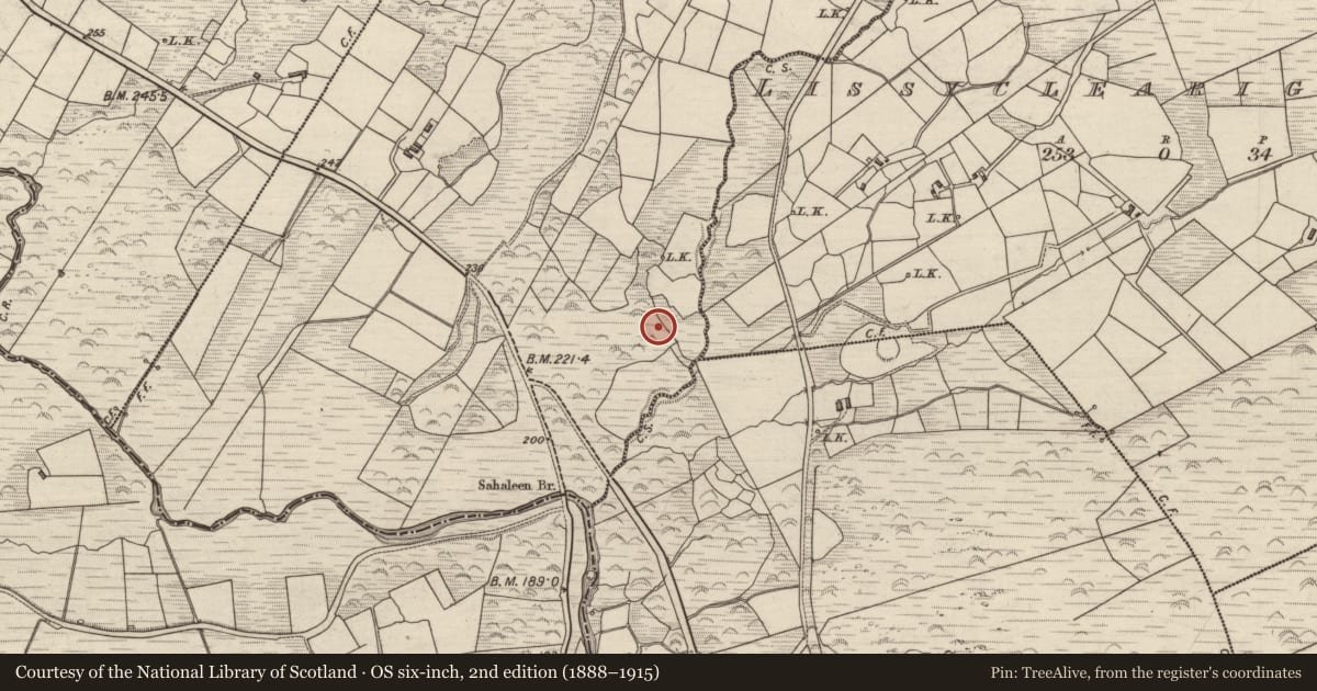 Ordnance Survey six-inch map, 2nd edition (1888–1915) covering the location of Metalworking site, Carhoomeengar East, County Kerry, with a pin at the register's coordinates