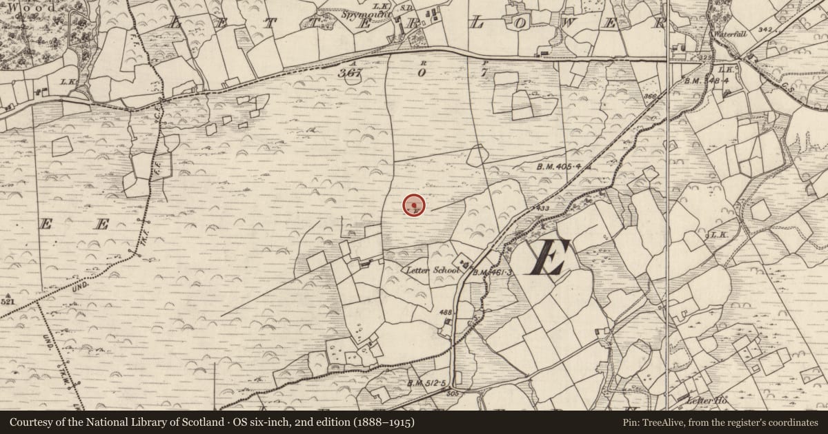 Ordnance Survey six-inch map, 2nd edition (1888–1915) covering the location of Kiln - lime, Letter Lower, County Kerry, with a pin at the register's coordinates