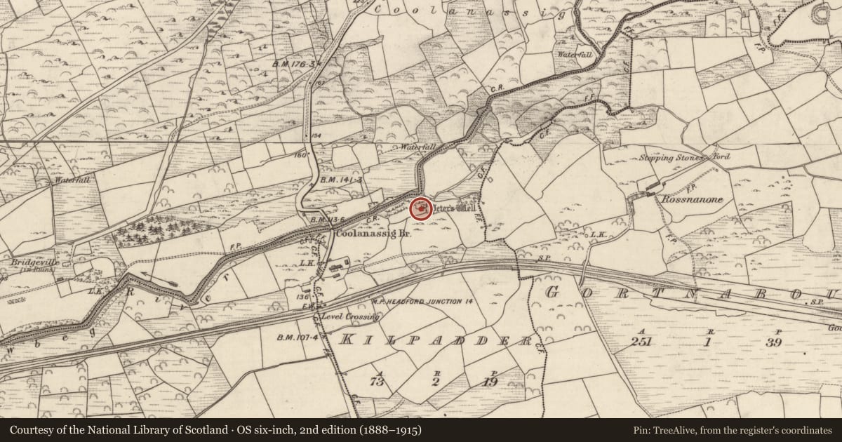 Ordnance Survey six-inch map, 2nd edition (1888–1915) covering the location of Ritual site - holy well, Kilpadder, County Kerry, with a pin at the register's coordinates