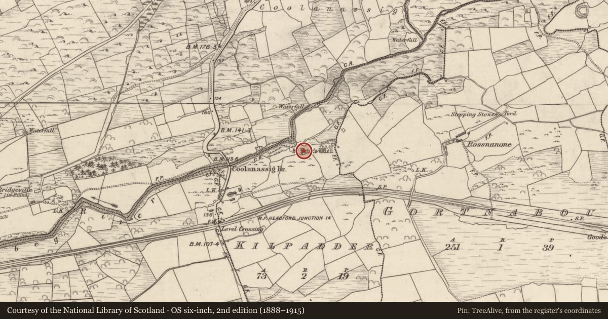Ordnance Survey six-inch map, 2nd edition (1888–1915) covering the location of Ritual site - holy well, Kilpadder, County Kerry, with a pin at the register's coordinates