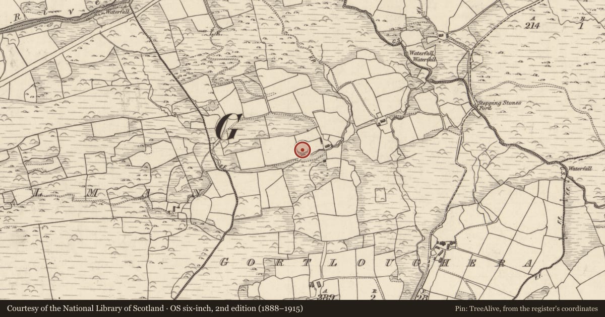 Ordnance Survey six-inch map, 2nd edition (1888–1915) covering the location of Ringfort - rath, Gortloughera, County Kerry, with a pin at the register's coordinates