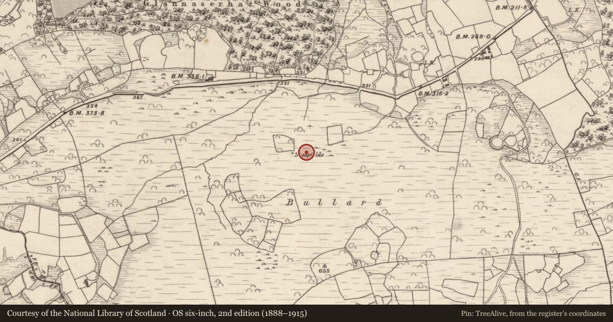 Ordnance Survey six-inch map, 2nd edition (1888–1915) covering the location of Enclosure, Lounaghan, County Kerry, with a pin at the register's coordinates
