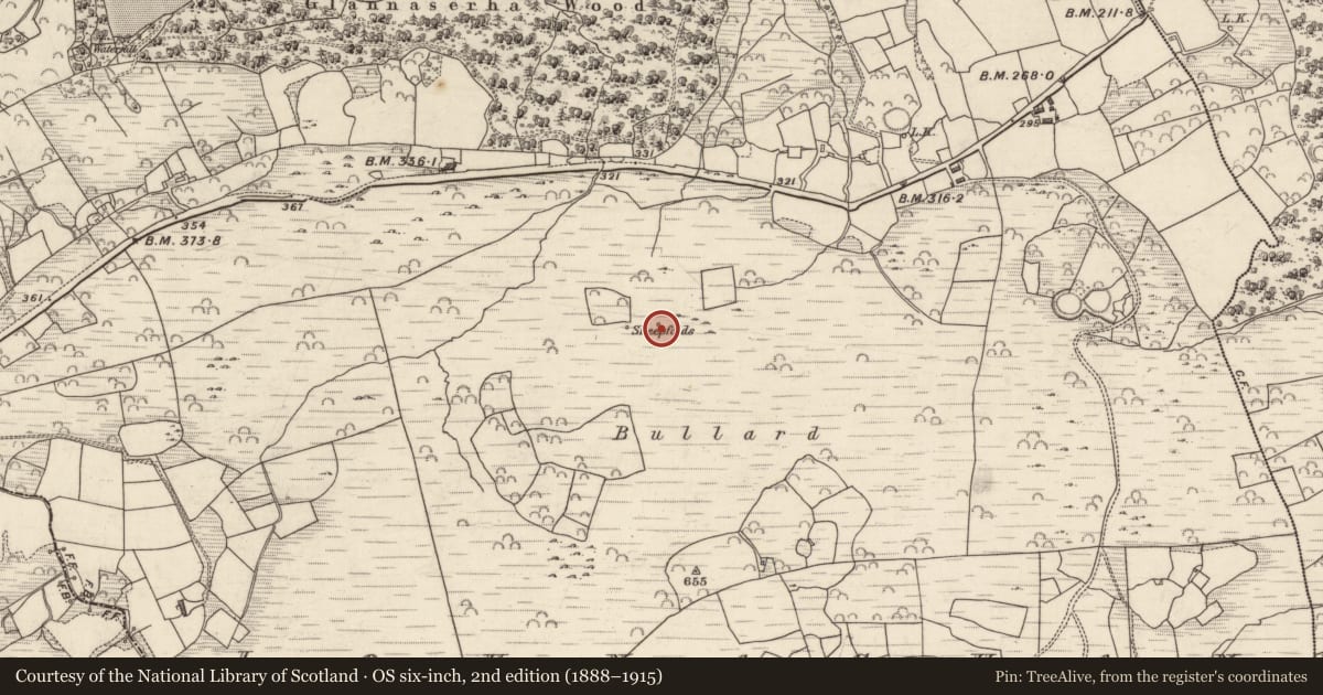 Ordnance Survey six-inch map, 2nd edition (1888–1915) covering the location of Enclosure, Lounaghan, County Kerry, with a pin at the register's coordinates