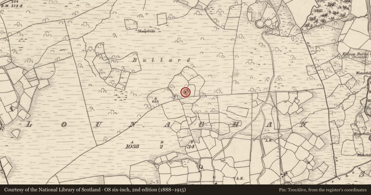 Ordnance Survey six-inch map, 2nd edition (1888–1915) covering the location of Souterrain, Lounaghan, County Kerry, with a pin at the register's coordinates