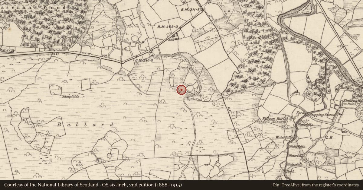 Ordnance Survey six-inch map, 2nd edition (1888–1915) covering the location of Ringfort - rath, Lounaghan, County Kerry, with a pin at the register's coordinates