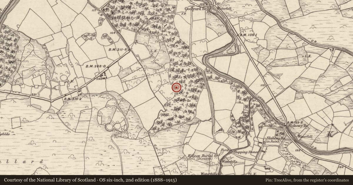 Ordnance Survey six-inch map, 2nd edition (1888–1915) covering the location of Ringfort - rath, Slaheny, County Kerry, with a pin at the register's coordinates