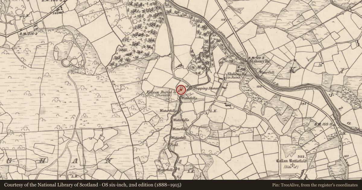 Ordnance Survey six-inch map, 2nd edition (1888–1915) covering the location of Children's burial ground, Slaheny, County Kerry, with a pin at the register's coordinates