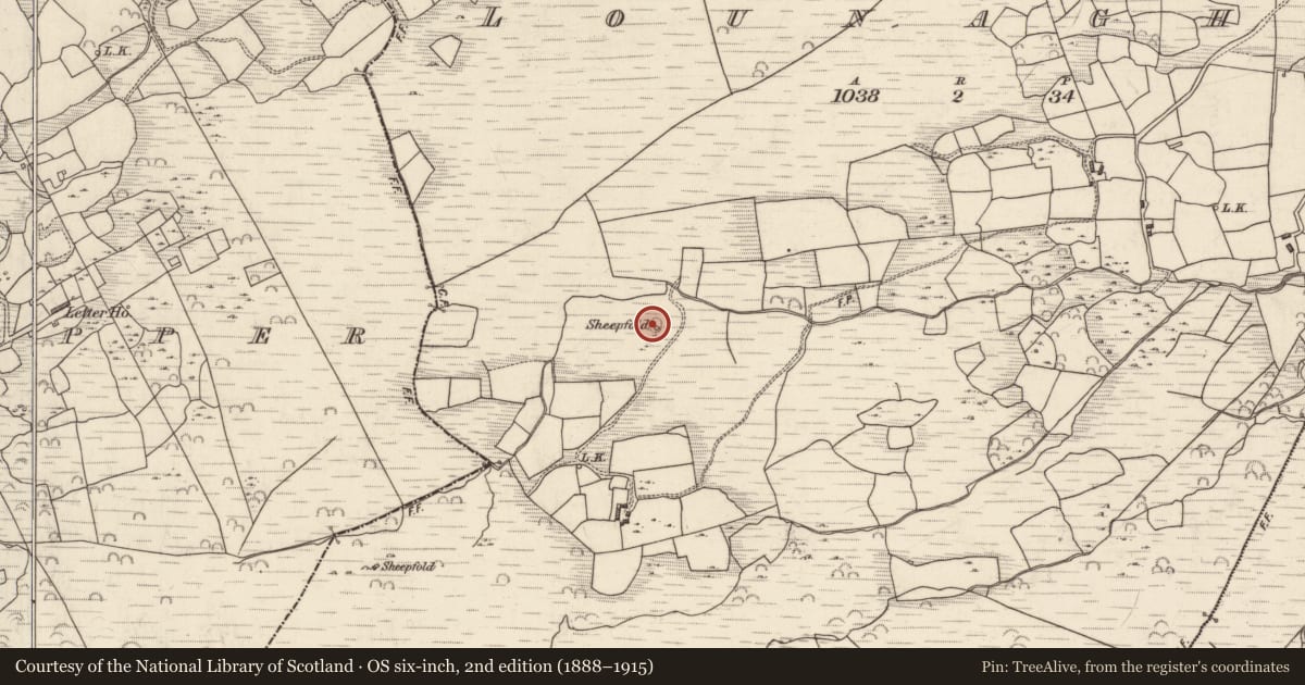 Ordnance Survey six-inch map, 2nd edition (1888–1915) covering the location of Enclosure, Lounaghan, County Kerry, with a pin at the register's coordinates