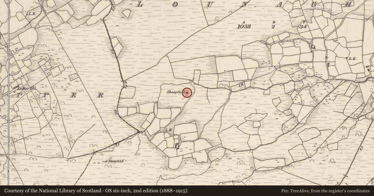 Ordnance Survey six-inch map, 2nd edition (1888–1915) covering the location of Hut site, Lounaghan, County Kerry, with a pin at the register's coordinates