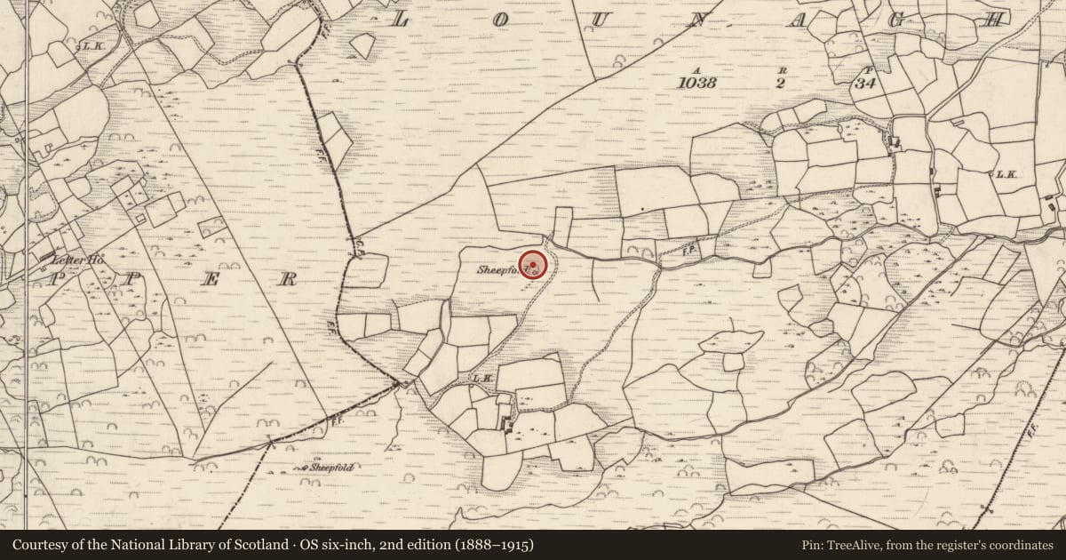 Ordnance Survey six-inch map, 2nd edition (1888–1915) covering the location of Field boundary, Lounaghan, County Kerry, with a pin at the register's coordinates