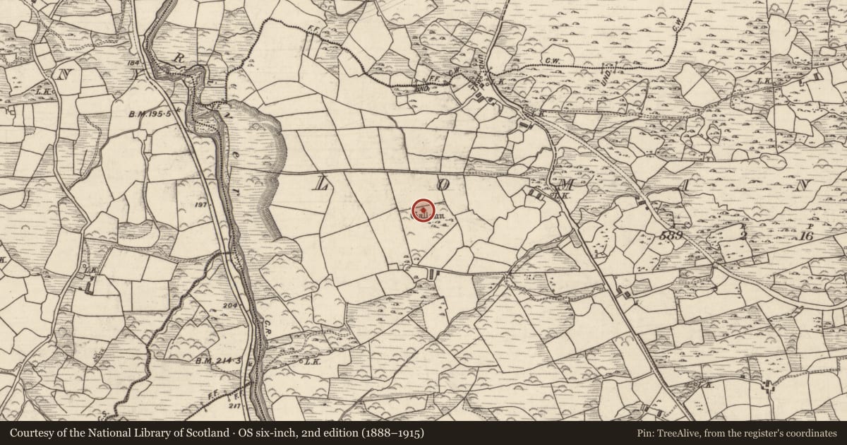 Ordnance Survey six-inch map, 2nd edition (1888–1915) covering the location of Ogham stone, Lomanagh, County Kerry, with a pin at the register's coordinates