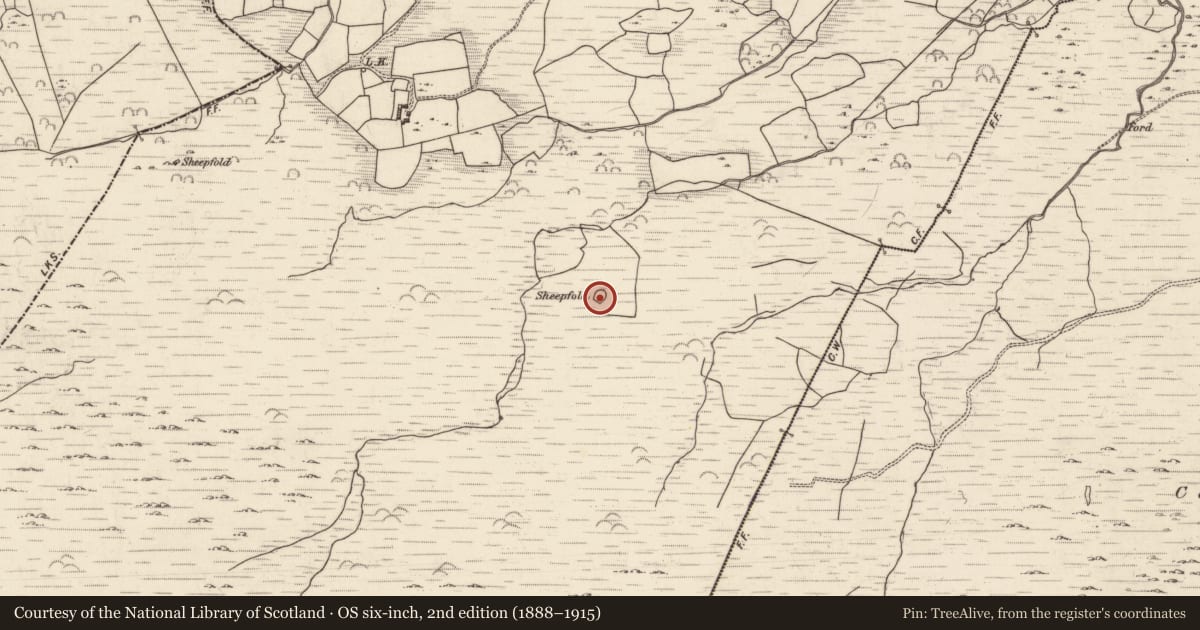 Ordnance Survey six-inch map, 2nd edition (1888–1915) covering the location of Enclosure, Lounaghan, County Kerry, with a pin at the register's coordinates
