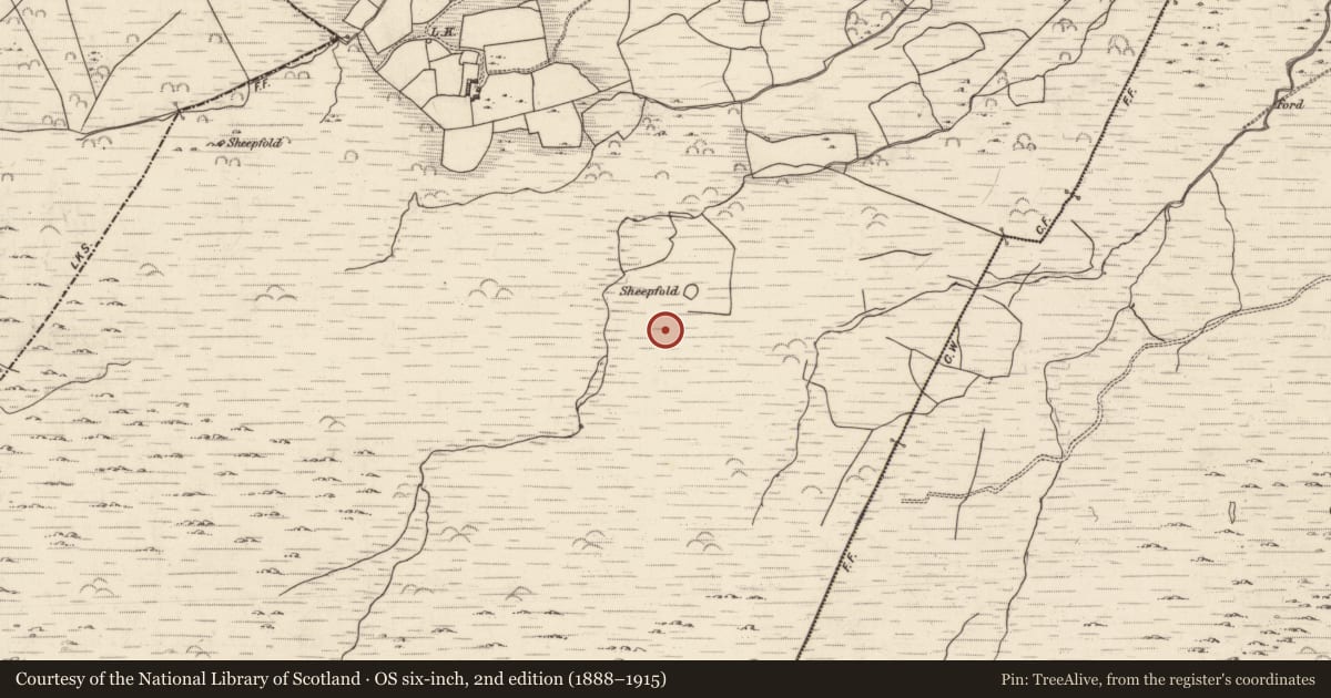 Ordnance Survey six-inch map, 2nd edition (1888–1915) covering the location of Field system, Lounaghan, County Kerry, with a pin at the register's coordinates