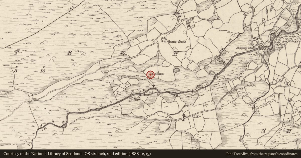 Ordnance Survey six-inch map, 2nd edition (1888–1915) covering the location of Standing stone, Gurteen, County Kerry, with a pin at the register's coordinates