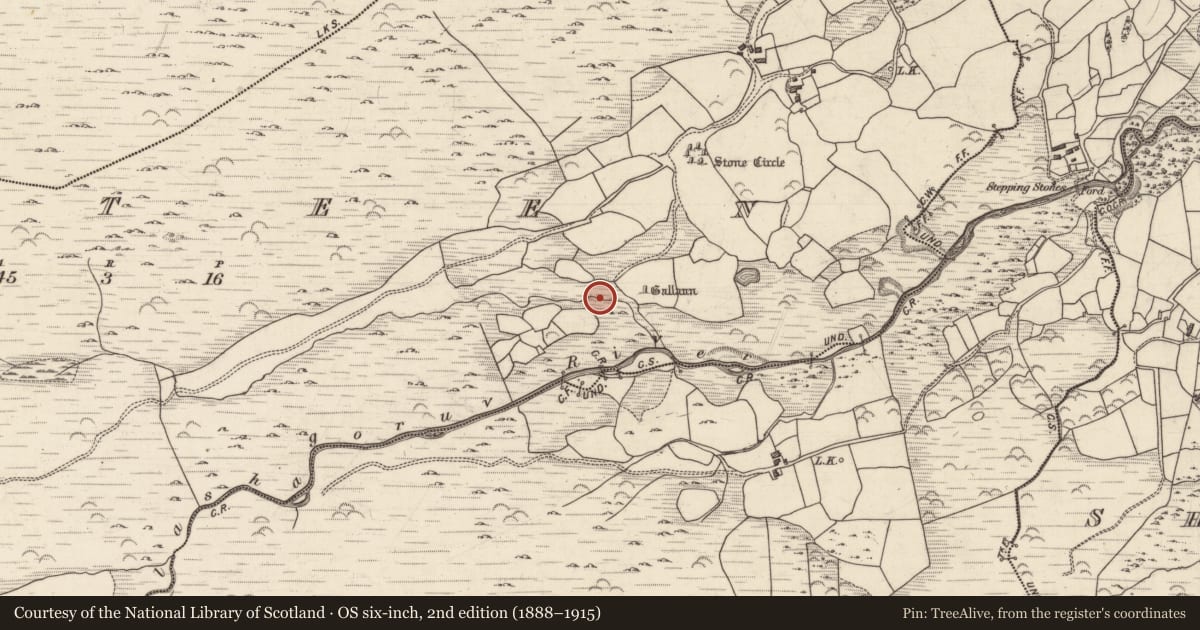 Ordnance Survey six-inch map, 2nd edition (1888–1915) covering the location of Fulacht fia, Gurteen, County Kerry, with a pin at the register's coordinates