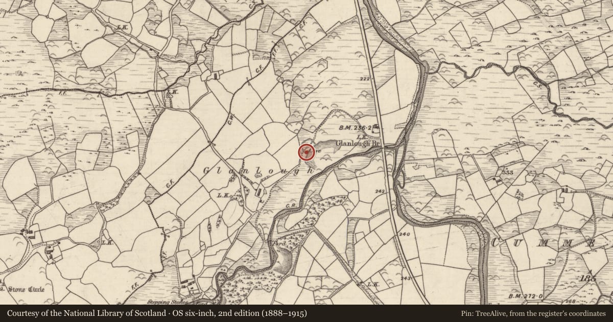 Ordnance Survey six-inch map, 2nd edition (1888–1915) covering the location of Souterrain, Gullaba, County Kerry, with a pin at the register's coordinates