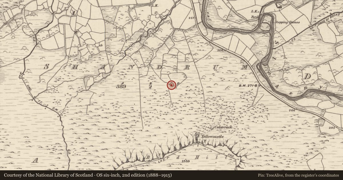 Ordnance Survey six-inch map, 2nd edition (1888–1915) covering the location of Ringfort - cashel, Shandrum, County Kerry, with a pin at the register's coordinates