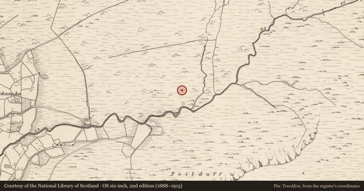 Ordnance Survey six-inch map, 2nd edition (1888–1915) covering the location of Fulacht fia, Knockanuha, County Kerry, with a pin at the register's coordinates