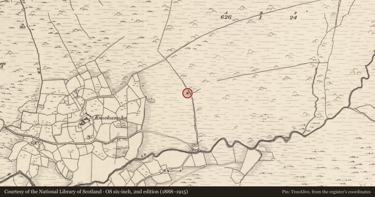 Ordnance Survey six-inch map, 2nd edition (1888–1915) covering the location of Fulacht fia, Knockanuha, County Kerry, with a pin at the register's coordinates