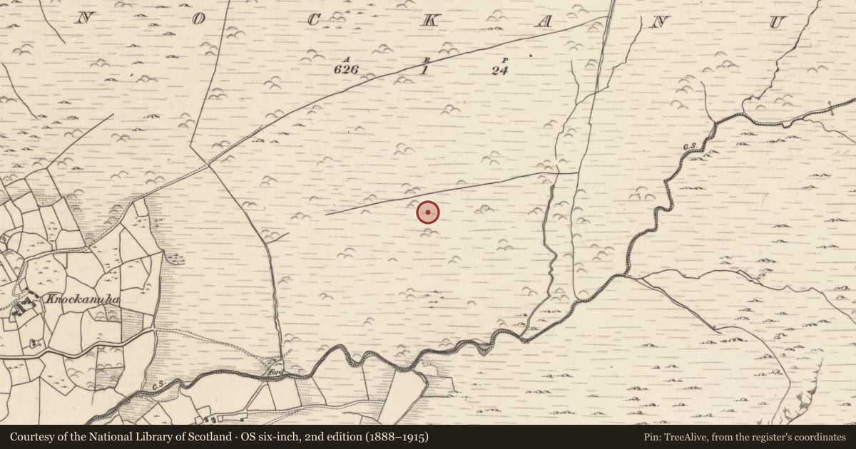 Ordnance Survey six-inch map, 2nd edition (1888–1915) covering the location of Fulacht fia, Knockanuha, County Kerry, with a pin at the register's coordinates