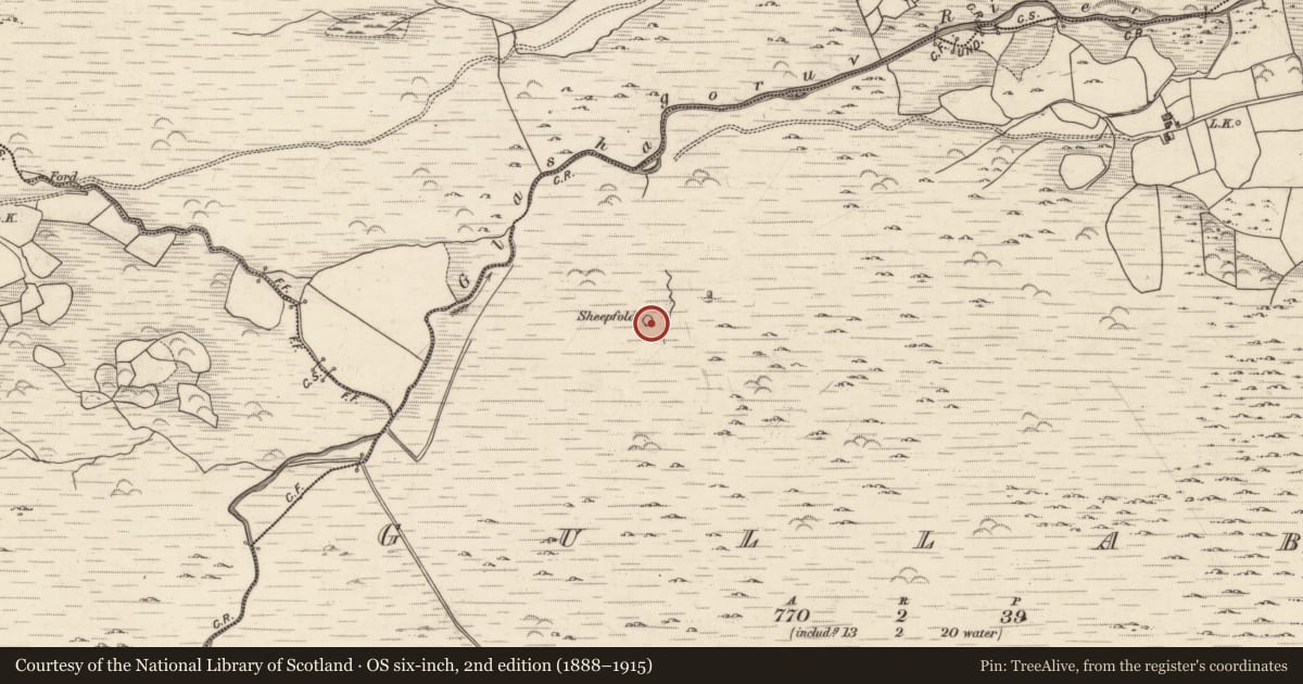 Ordnance Survey six-inch map, 2nd edition (1888–1915) covering the location of Enclosure, Gullaba, County Kerry, with a pin at the register's coordinates