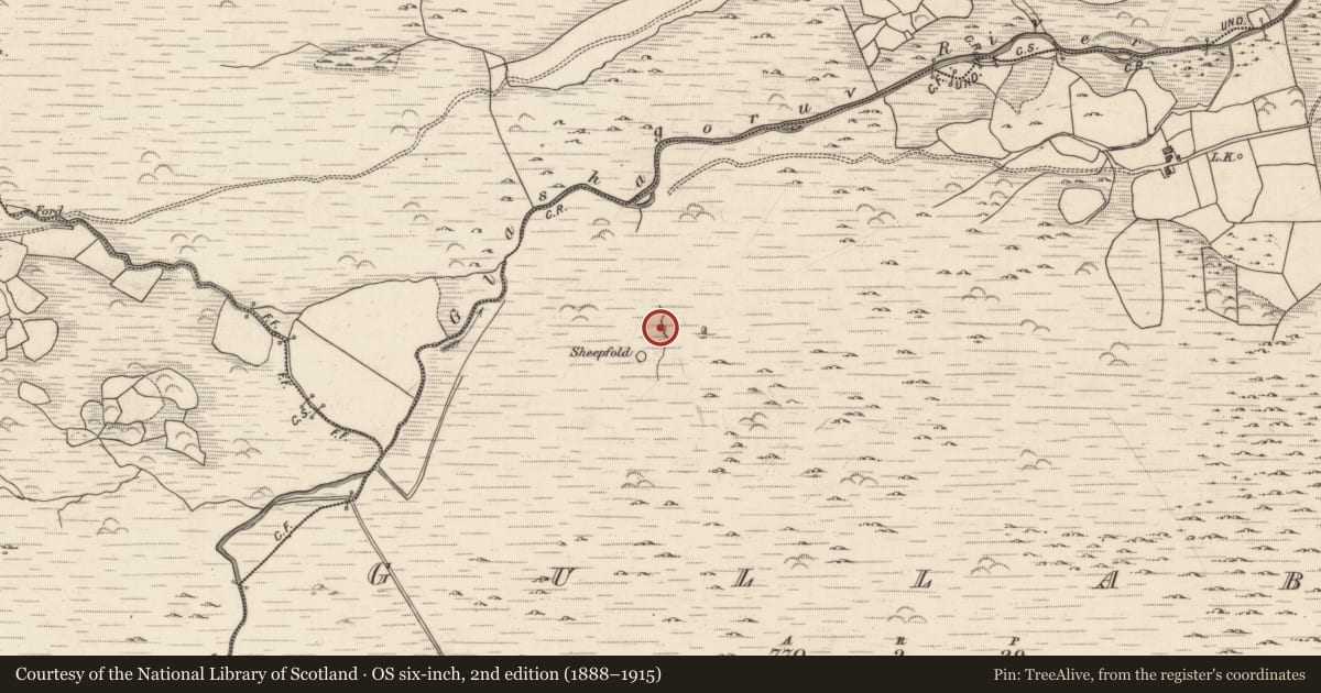 Ordnance Survey six-inch map, 2nd edition (1888–1915) covering the location of Burnt spread, Gullaba, County Kerry, with a pin at the register's coordinates