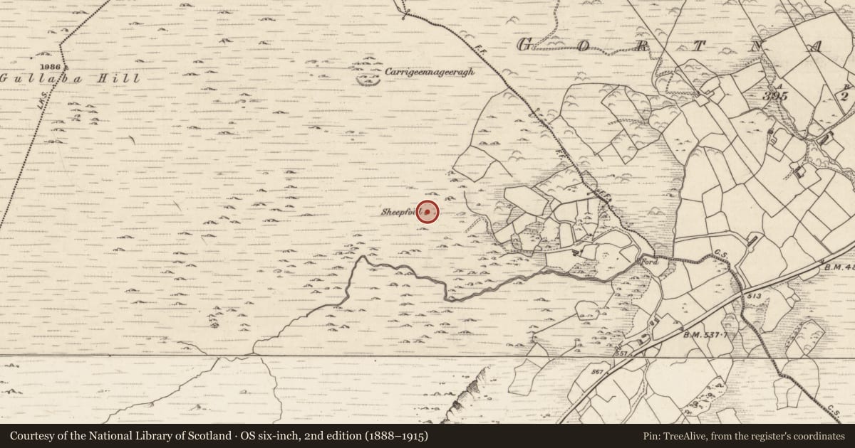 Ordnance Survey six-inch map, 2nd edition (1888–1915) covering the location of Hut site, Gortacreenteen, County Kerry, with a pin at the register's coordinates