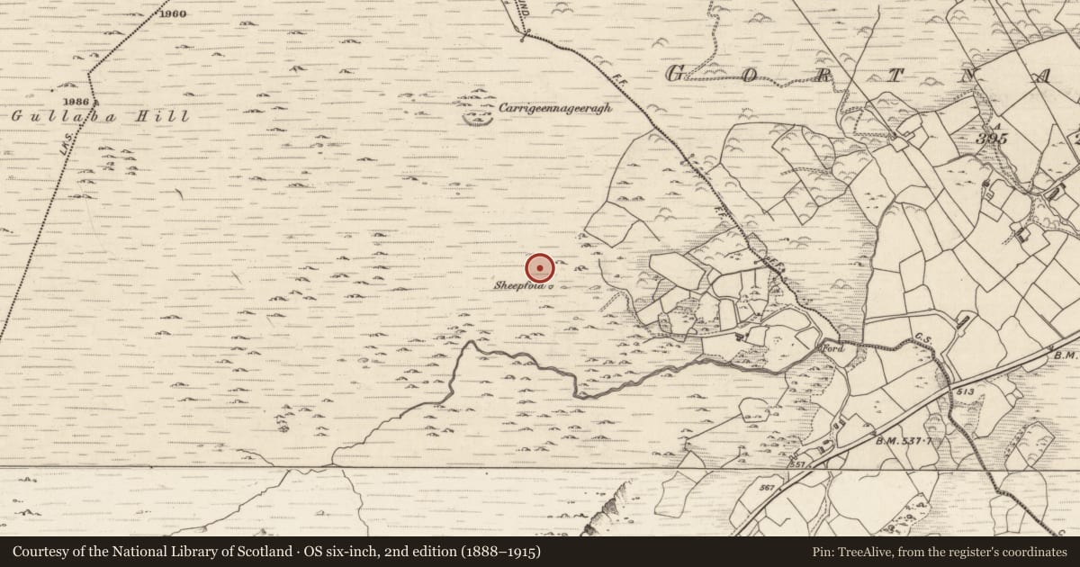 Ordnance Survey six-inch map, 2nd edition (1888–1915) covering the location of Field boundary, Gortacreenteen, County Kerry, with a pin at the register's coordinates