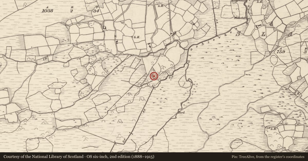 Ordnance Survey six-inch map, 2nd edition (1888–1915) covering the location of Ringfort - rath, Lounaghan, County Kerry, with a pin at the register's coordinates