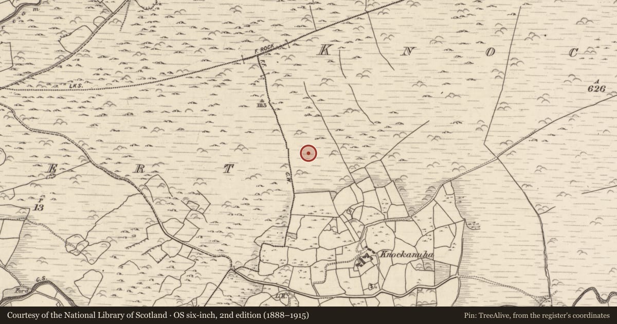 Ordnance Survey six-inch map, 2nd edition (1888–1915) covering the location of Cairn - unclassified, Knockanuha, County Kerry, with a pin at the register's coordinates