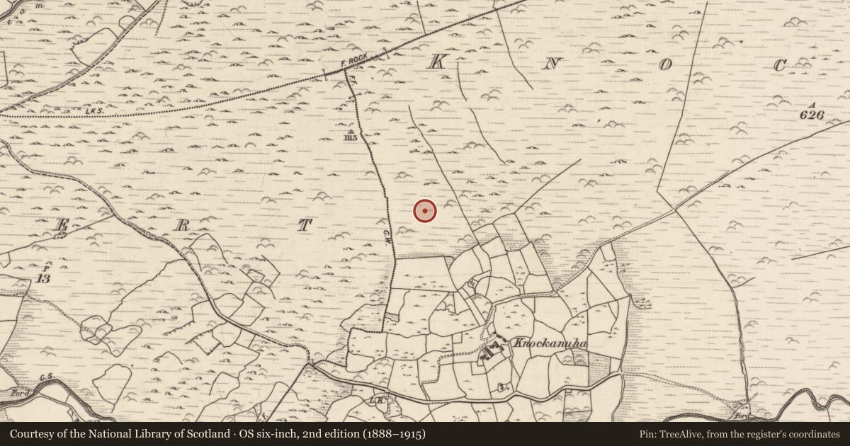 Ordnance Survey six-inch map, 2nd edition (1888–1915) covering the location of Enclosure, Knockanuha, County Kerry, with a pin at the register's coordinates