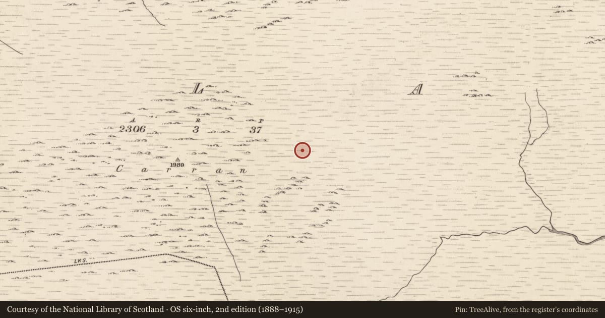 Ordnance Survey six-inch map, 2nd edition (1888–1915) covering the location of Field system, Ballagh, County Kerry, with a pin at the register's coordinates