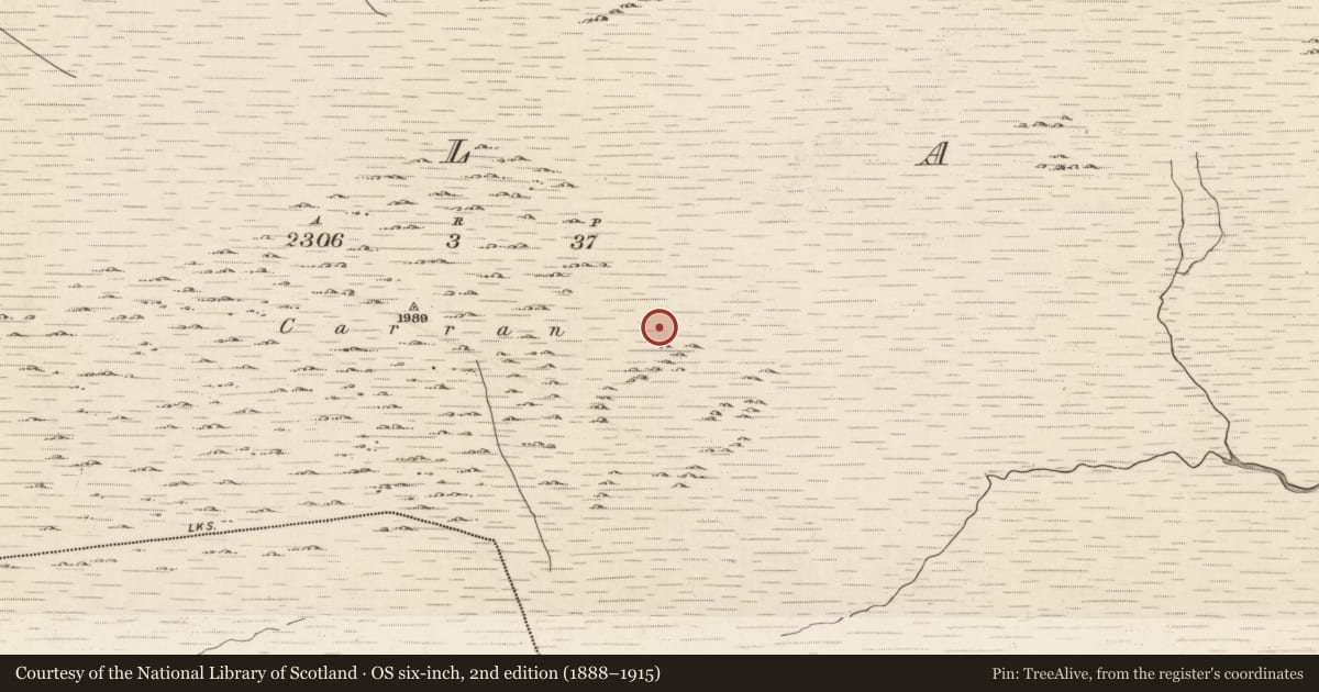 Ordnance Survey six-inch map, 2nd edition (1888–1915) covering the location of Hut site, Ballagh, County Kerry, with a pin at the register's coordinates