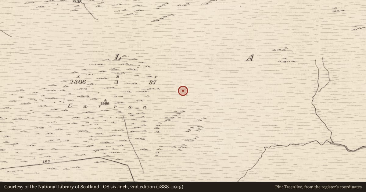 Ordnance Survey six-inch map, 2nd edition (1888–1915) covering the location of Hut site, Ballagh, County Kerry, with a pin at the register's coordinates