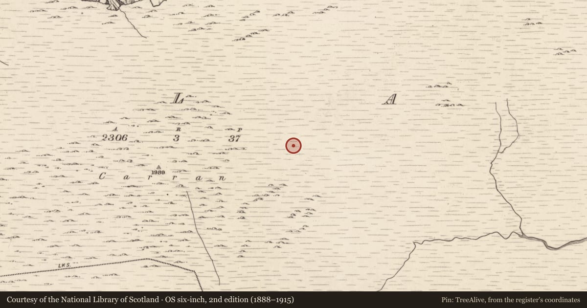 Ordnance Survey six-inch map, 2nd edition (1888–1915) covering the location of Hut site, Ballagh, County Kerry, with a pin at the register's coordinates