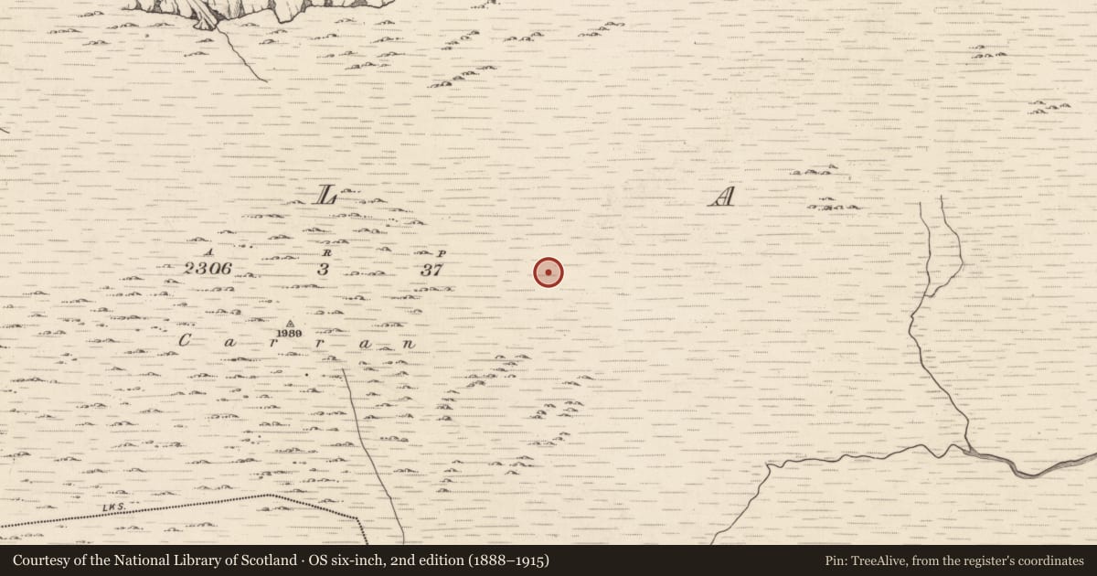 Ordnance Survey six-inch map, 2nd edition (1888–1915) covering the location of Hut site, Ballagh, County Kerry, with a pin at the register's coordinates