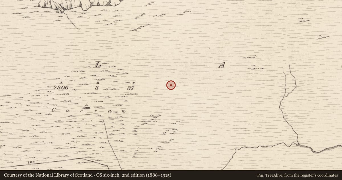Ordnance Survey six-inch map, 2nd edition (1888–1915) covering the location of Hut site, Ballagh, County Kerry, with a pin at the register's coordinates