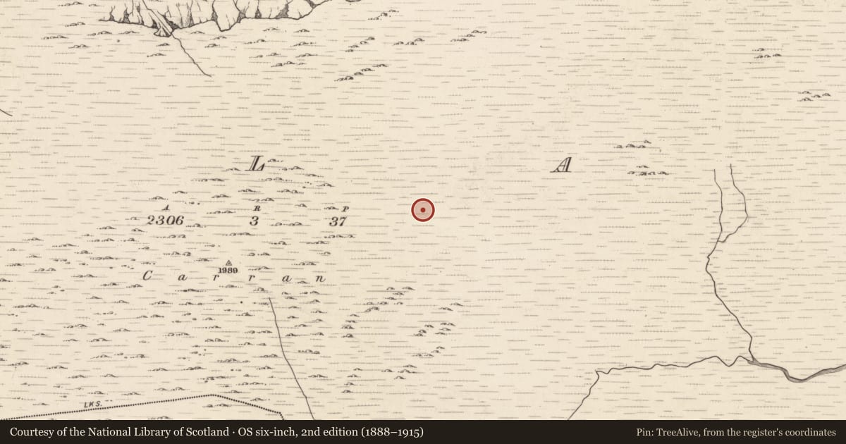 Ordnance Survey six-inch map, 2nd edition (1888–1915) covering the location of Hut site, Ballagh, County Kerry, with a pin at the register's coordinates