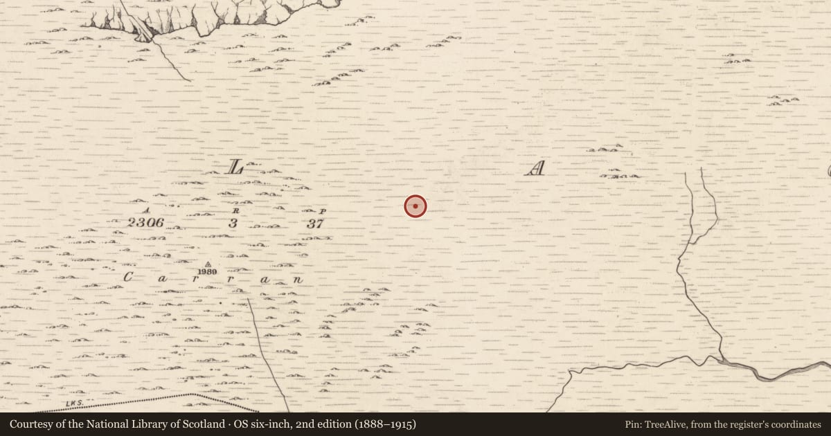 Ordnance Survey six-inch map, 2nd edition (1888–1915) covering the location of Hut site, Ballagh, County Kerry, with a pin at the register's coordinates