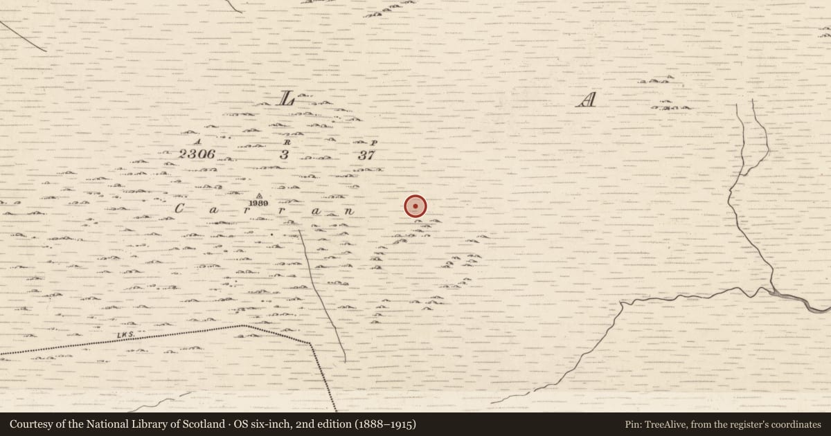 Ordnance Survey six-inch map, 2nd edition (1888–1915) covering the location of Hut site, Ballagh, County Kerry, with a pin at the register's coordinates