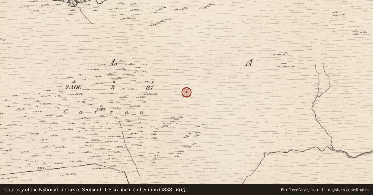 Ordnance Survey six-inch map, 2nd edition (1888–1915) covering the location of Hut site, Ballagh, County Kerry, with a pin at the register's coordinates