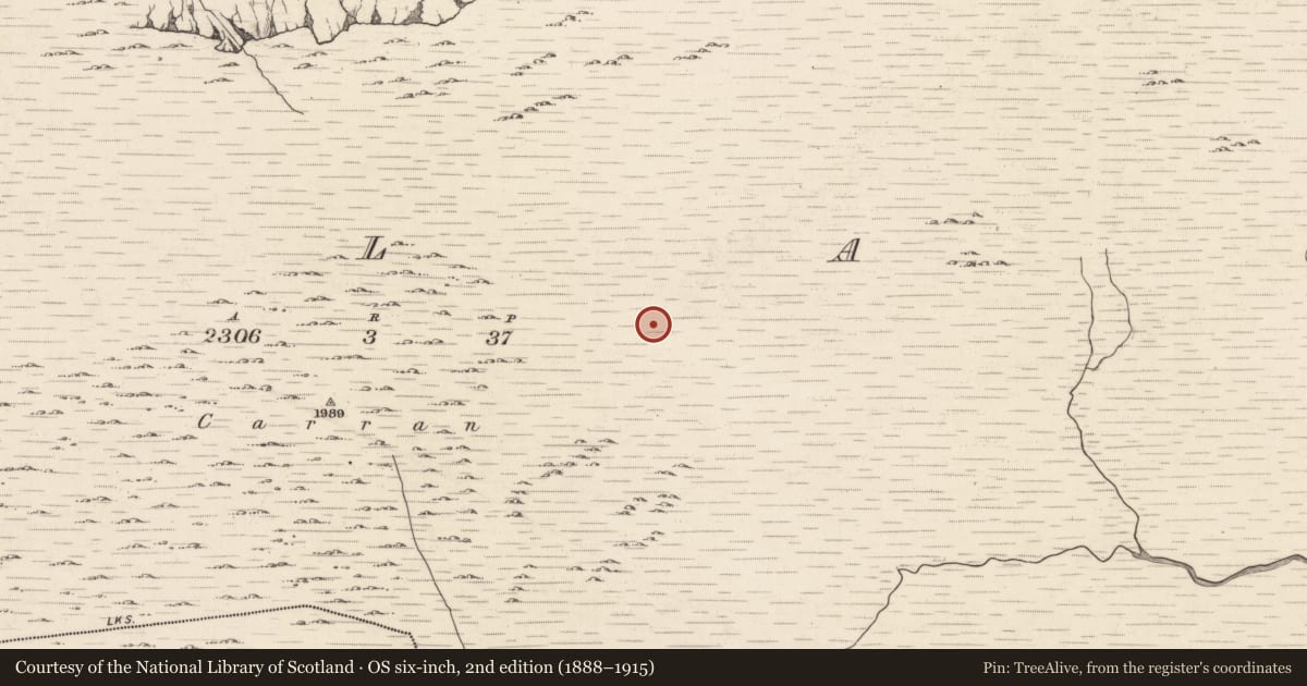 Ordnance Survey six-inch map, 2nd edition (1888–1915) covering the location of Hut site, Ballagh, County Kerry, with a pin at the register's coordinates