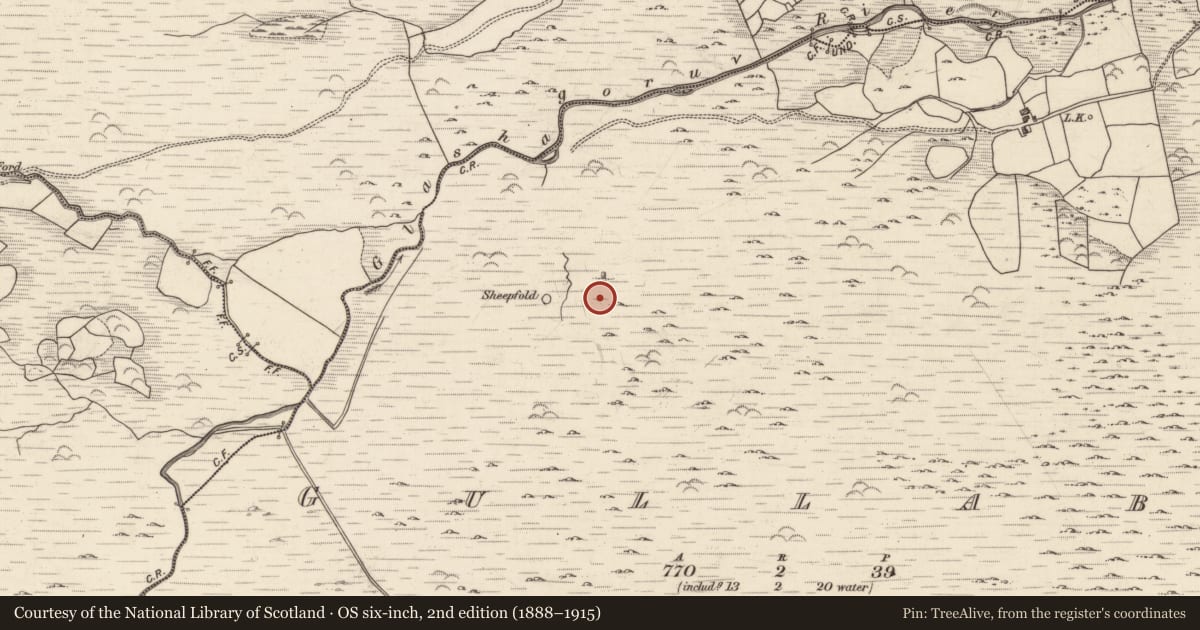 Ordnance Survey six-inch map, 2nd edition (1888–1915) covering the location of Standing stone, Gullaba, County Kerry, with a pin at the register's coordinates