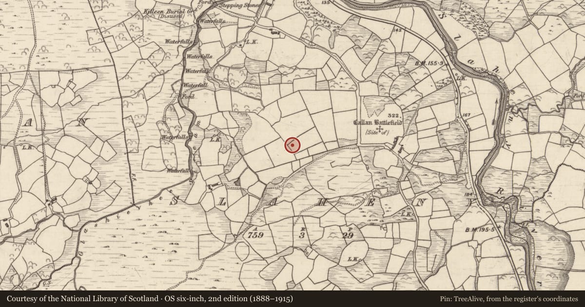 Ordnance Survey six-inch map, 2nd edition (1888–1915) covering the location of Mass-rock, Slaheny, County Kerry, with a pin at the register's coordinates