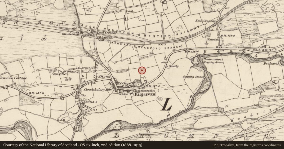 Ordnance Survey six-inch map, 2nd edition (1888–1915) covering the location of Standing stone, Churchground, County Kerry, with a pin at the register's coordinates