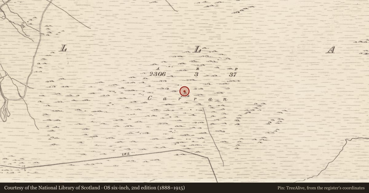 Ordnance Survey six-inch map, 2nd edition (1888–1915) covering the location of Cairn - unclassified, Ballagh, County Kerry, with a pin at the register's coordinates