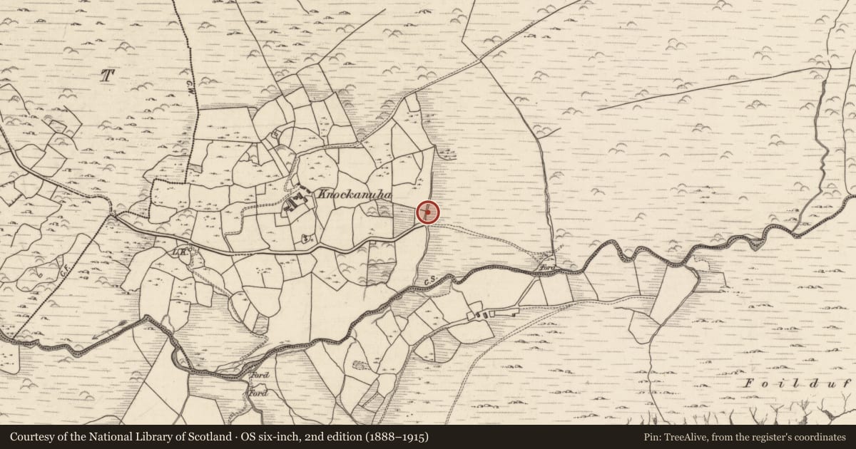 Ordnance Survey six-inch map, 2nd edition (1888–1915) covering the location of Fulacht fia, Knockanuha, County Kerry, with a pin at the register's coordinates