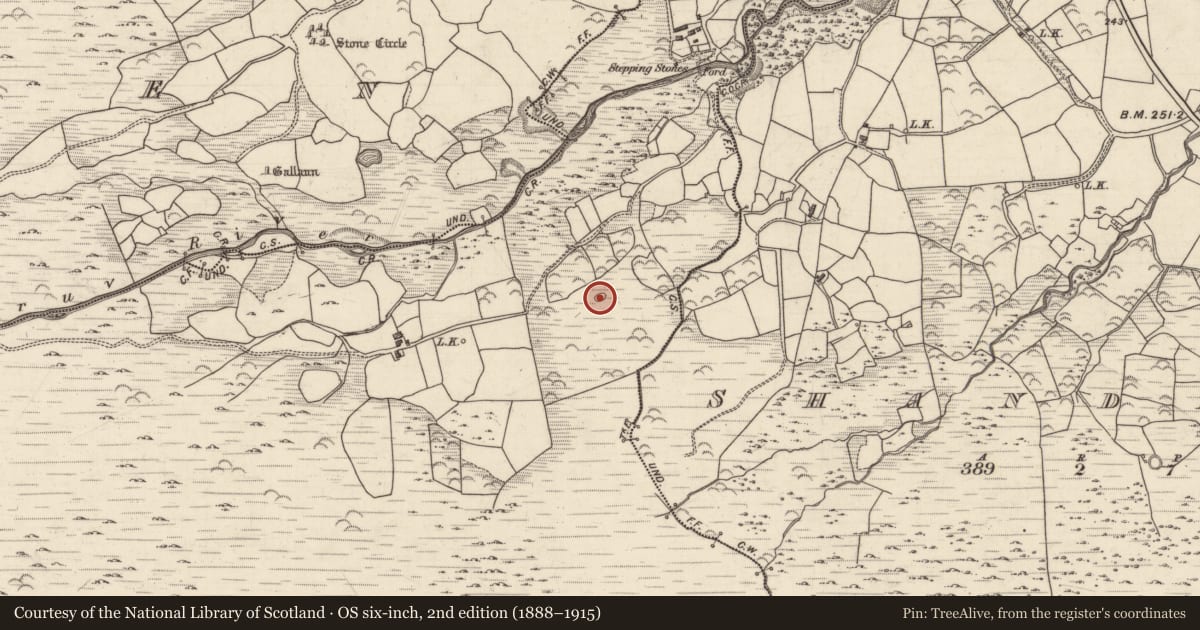Ordnance Survey six-inch map, 2nd edition (1888–1915) covering the location of Enclosure, Gullaba, County Kerry, with a pin at the register's coordinates