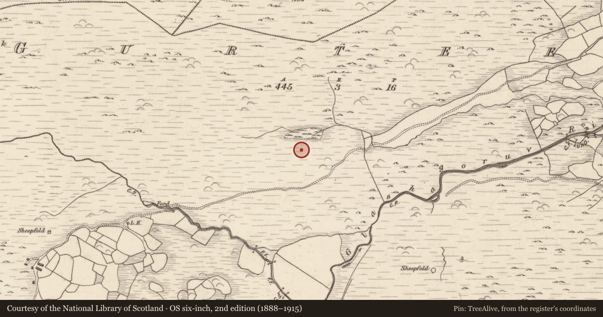 Ordnance Survey six-inch map, 2nd edition (1888–1915) covering the location of Field system, Gurteen, County Kerry, with a pin at the register's coordinates