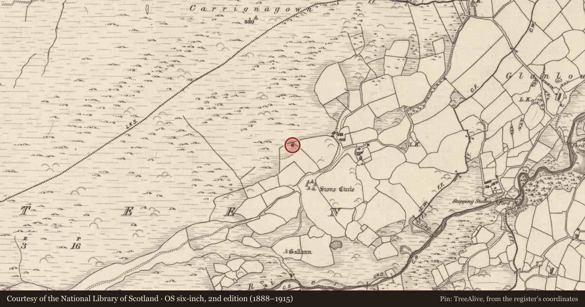 Ordnance Survey six-inch map, 2nd edition (1888–1915) covering the location of Burnt spread, Gurteen, County Kerry, with a pin at the register's coordinates